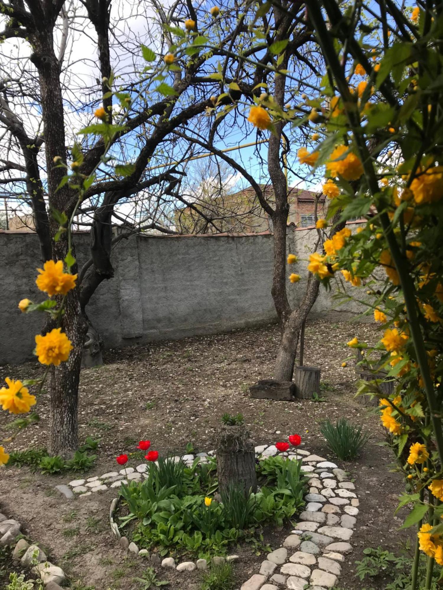 Guesthouse "Kistauri" Telavi Buitenkant foto