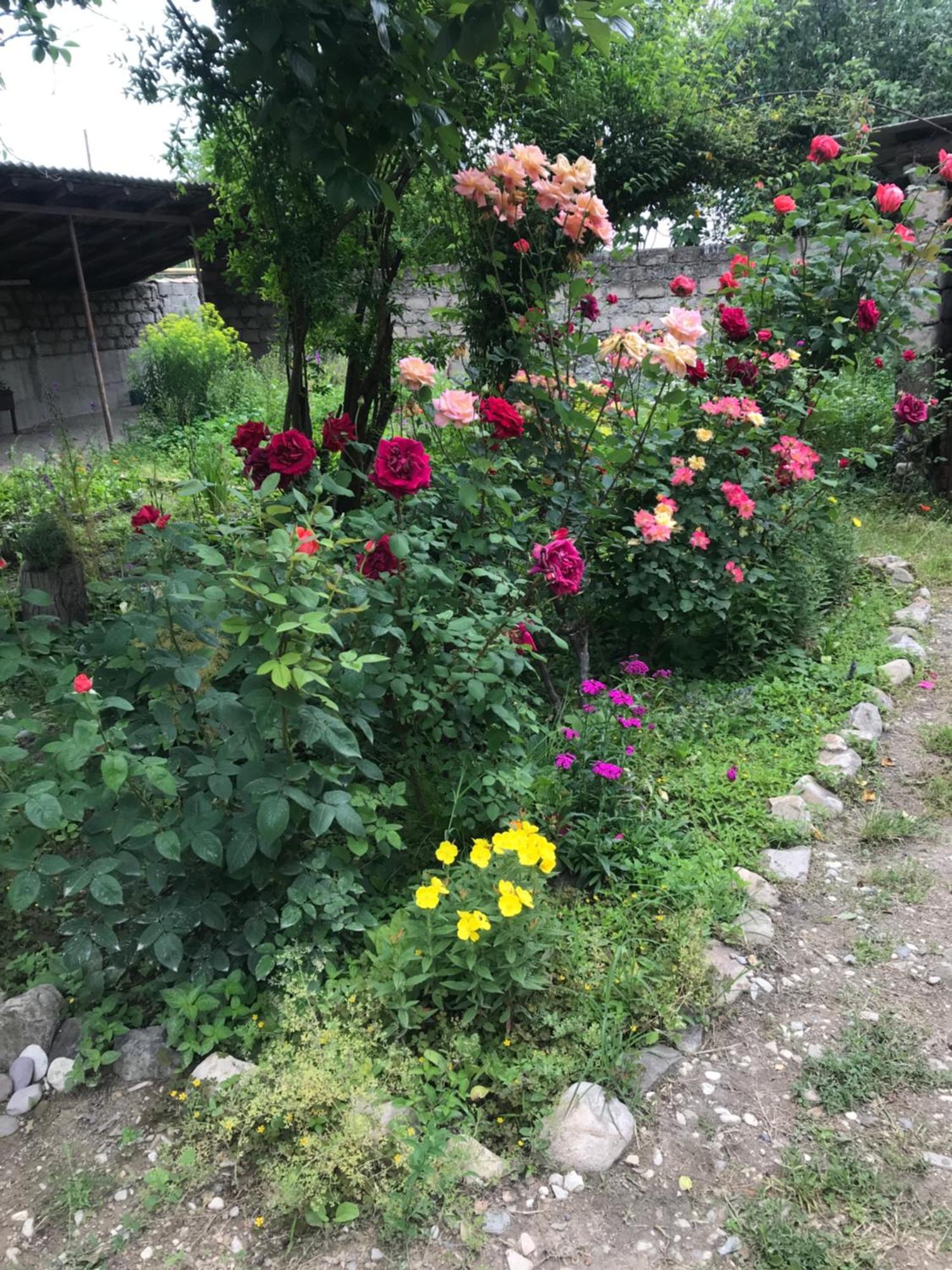 Guesthouse "Kistauri" Telavi Buitenkant foto