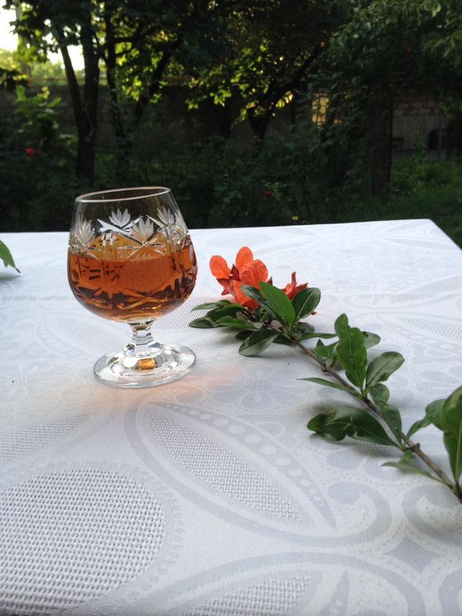 Guesthouse "Kistauri" Telavi Buitenkant foto