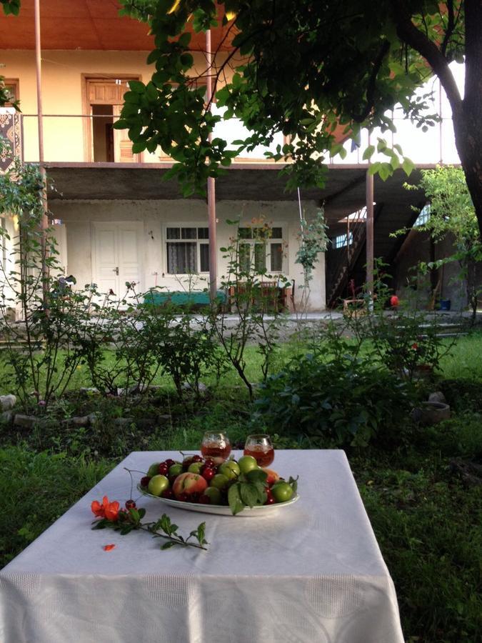 Guesthouse "Kistauri" Telavi Buitenkant foto